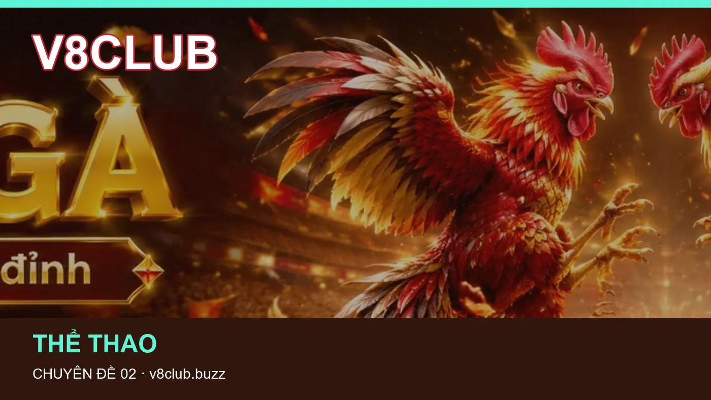 Hình minh họa bài viết V8CLUB