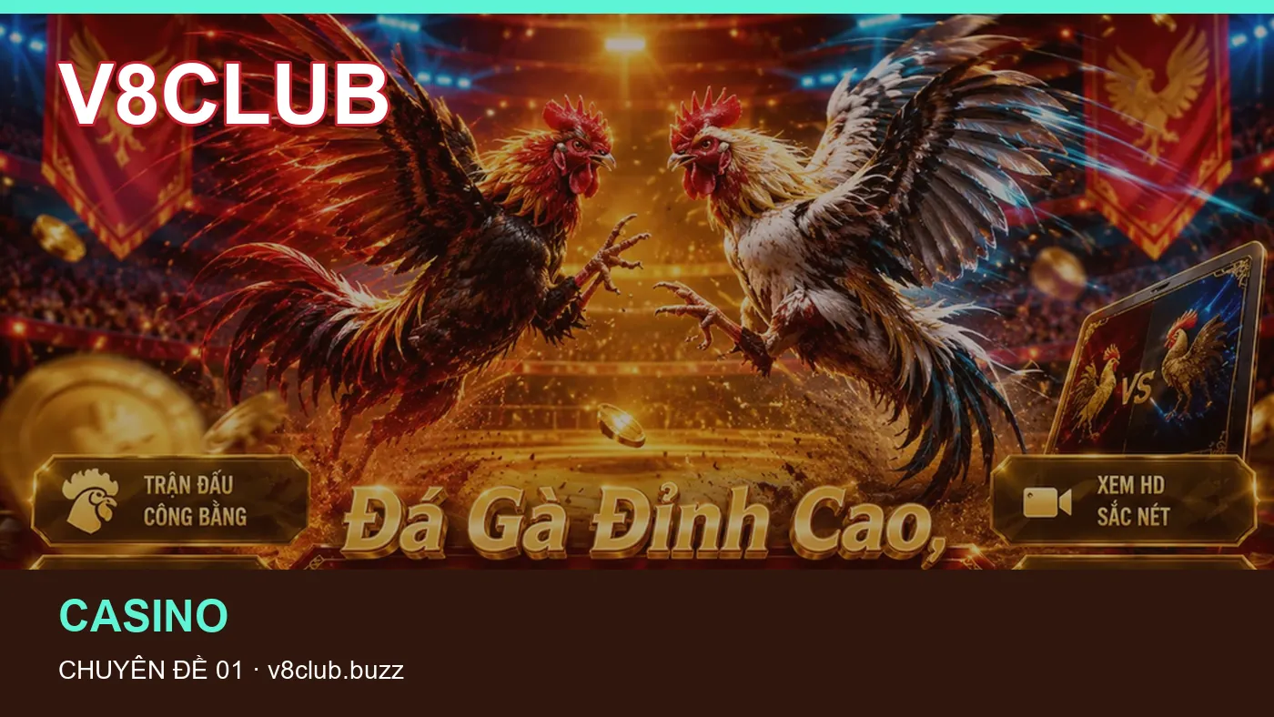 Hình minh họa bài viết V8CLUB