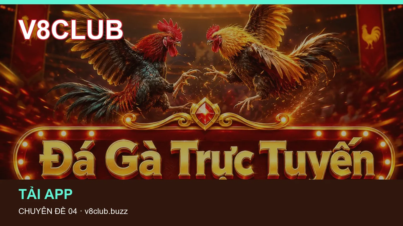 Hình minh họa bài viết V8CLUB