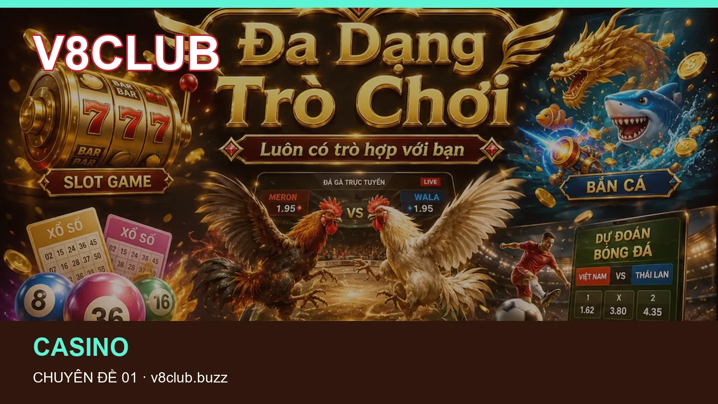 Hỏi đáp về Thể thao: quy trình tự kiểm tra trên V8CLUB