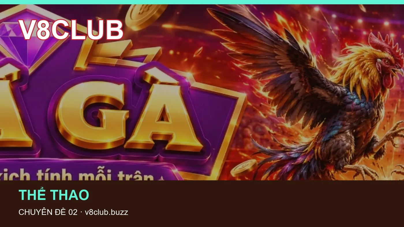 Hình minh họa bài viết V8CLUB